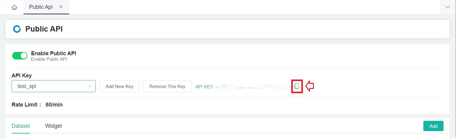 copy api key